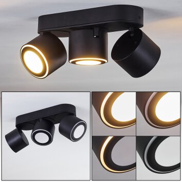 Appleton Plafoniera LED Nero, 3-Luci