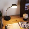 Pineda Lampada da tavolo LED Cromo, Nero, 1-Luce