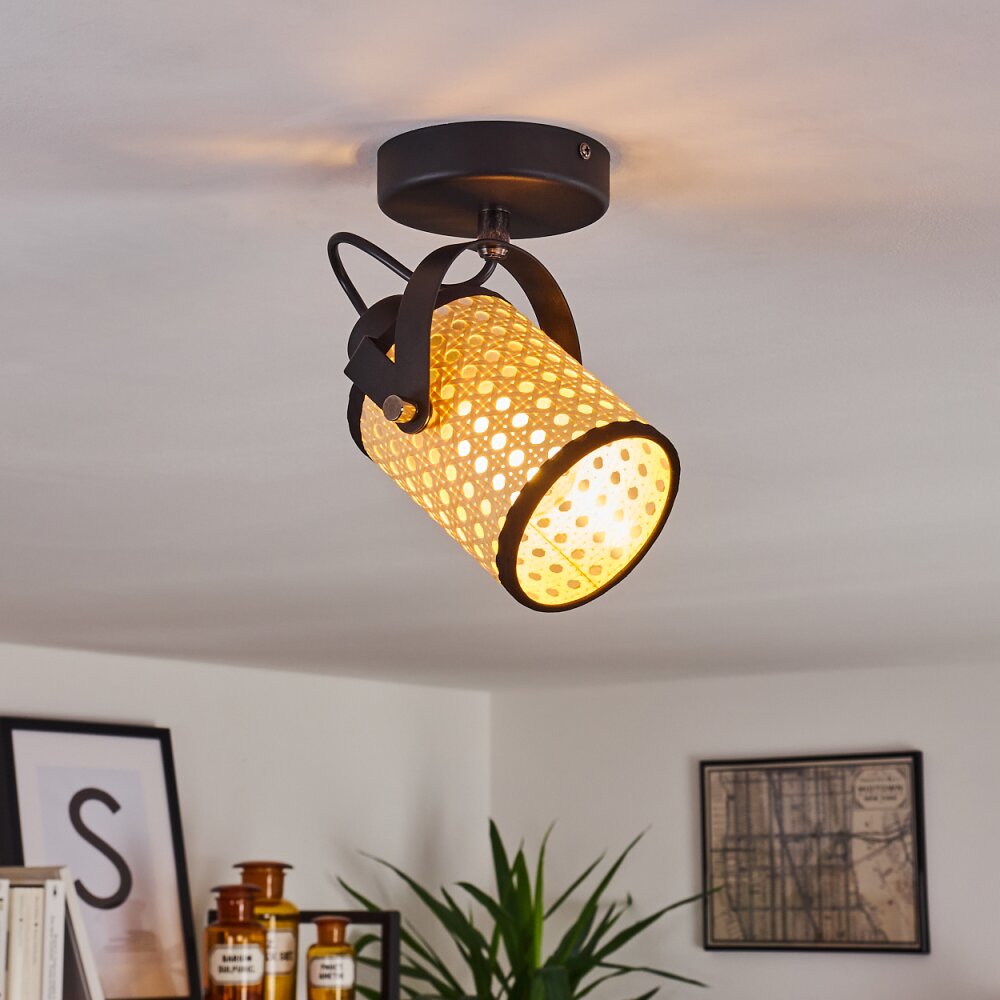 Broekerhaven Plafoniera Nero, 1-Luce main product photo