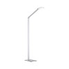 Paul Neuhaus Q-HANNES Lampada da terra LED Argento, 1-Luce, Telecomando