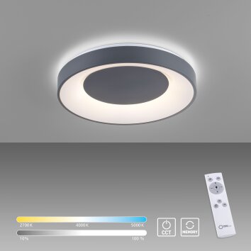 Leuchten-Direkt ANIKA Plafoniera LED Antracite, 1-Luce, Telecomando