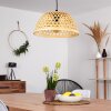 Flansum Lampadario a sospensione Nero, 1-Luce