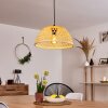 Flansum Lampadario a sospensione Nero, 1-Luce