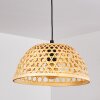 Flansum Lampadario a sospensione Nero, 1-Luce