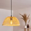 Flansum Lampadario a sospensione Nero, 1-Luce