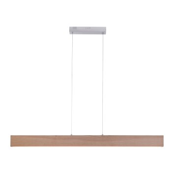 Paul Neuhaus Q-TIMBER Lampada a Sospensione LED Legno chiaro, 1-Luce, Telecomando