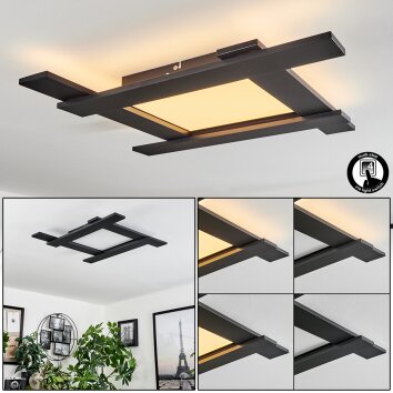 Cuchara Plafoniera LED Nero, 5-Luci