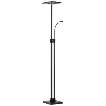 Brilliant Forrester Lampada da terra LED Nero, 2-Luci