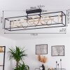 Pericos Plafoniera LED Oro, Nero, 4-Luci