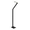 Steinhauer Serenade Lampada da terra LED Nero, Bianco, 1-Luce