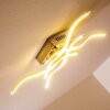 Mapleton Plafoniera LED Nichel opaco, 4-Luci