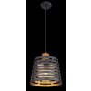 Globo ABLONA Lampadario a sospensione Nero, 1-Luce