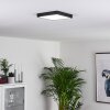 Kragos Plafoniera LED Nero, Bianco, 1-Luce