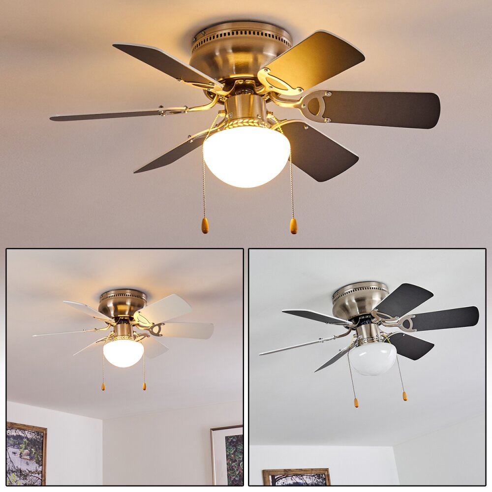 Trillo ventilatore da soffitto Grigio, Nichel opaco, Bianco, 1-Luce main product photo