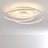 Chute Plafoniera LED Bianco, 1-Luce