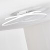 Chute Plafoniera LED Bianco, 1-Luce