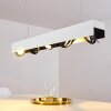 Bacoor Lampada a Sospensione LED Nero, Bianco, 5-Luci
