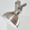 Tina Plafoniera Nichel opaco, 1-Luce