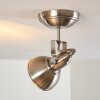 Tina Plafoniera Nichel opaco, 1-Luce