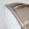 Tina Plafoniera Nichel opaco, 1-Luce