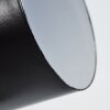 Rialey Plafoniera Ottone, Nero, 4-Luci