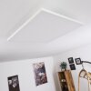 Buenaventura Plafoniera LED Bianco, 1-Luce, Telecomando