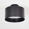 Baraboo Plafoniera LED Nero, 1-Luce