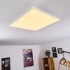 Buenaventura Plafoniera LED Bianco, 1-Luce, Telecomando