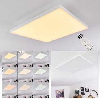 Buenaventura Plafoniera LED Bianco, 1-Luce, Telecomando