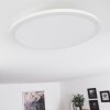 Ailik Plafoniera LED Bianco, 1-Luce, Telecomando