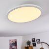 Ailik Plafoniera LED Bianco, 1-Luce, Telecomando