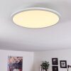 Ailik Plafoniera LED Bianco, 1-Luce, Telecomando