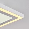 Salamo Plafoniera LED Bianco, 2-Luci