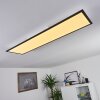 Nexo Plafoniera LED Nero, 1-Luce, Telecomando