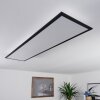 Nexo Plafoniera LED Nero, 1-Luce, Telecomando