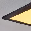 Nexo Plafoniera LED Nero, 1-Luce, Telecomando