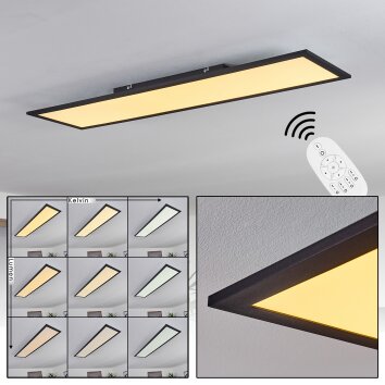 Nexo Plafoniera LED Nero, 1-Luce, Telecomando