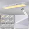 Salamo Plafoniera LED Bianco, 1-Luce, Telecomando