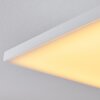 Salamo Plafoniera LED Bianco, 1-Luce, Telecomando