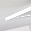 Nexo Plafoniera LED Bianco, 1-Luce, Telecomando