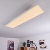 Buenaventura Plafoniera LED Bianco, 1-Luce, Telecomando