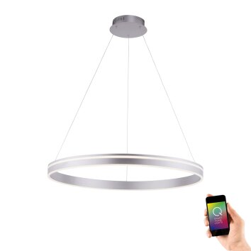 Paul Neuhaus Q-VITO Lampada a Sospensione LED Acciaio inox, 1-Luce, Telecomando