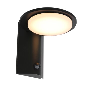 Steinhauer Luzon Applique da esterno LED Nero, 1-Luce