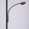 Leuchten-Direkt HANS Lampada da terra LED Nero, 2-Luci