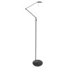 Steinhauer Zodiac Lampada da terra LED Nero, 2-Luci