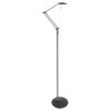 Steinhauer Zodiac Lampada da terra LED Nero, 2-Luci