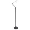 Steinhauer Zodiac Lampada da terra LED Nero, 2-Luci