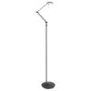 Steinhauer Zodiac Lampada da terra LED Nero, 2-Luci