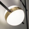 Mantra CUBA Lampadario a sospensione LED Oro, Nero, 1-Luce Mantra CUBA Lampadario a sospensione LED Oro, Nero, 1-Luce