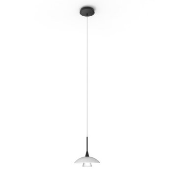 Steinhauer Tallerken Lampadario a sospensione LED Nero, 1-Luce